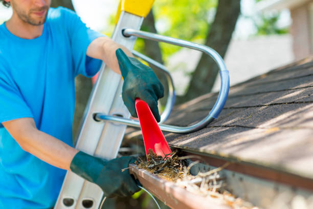 High Quality Roof Cleaning and Gutter Care